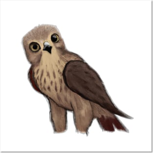 cute hawk drawing Posters and Art